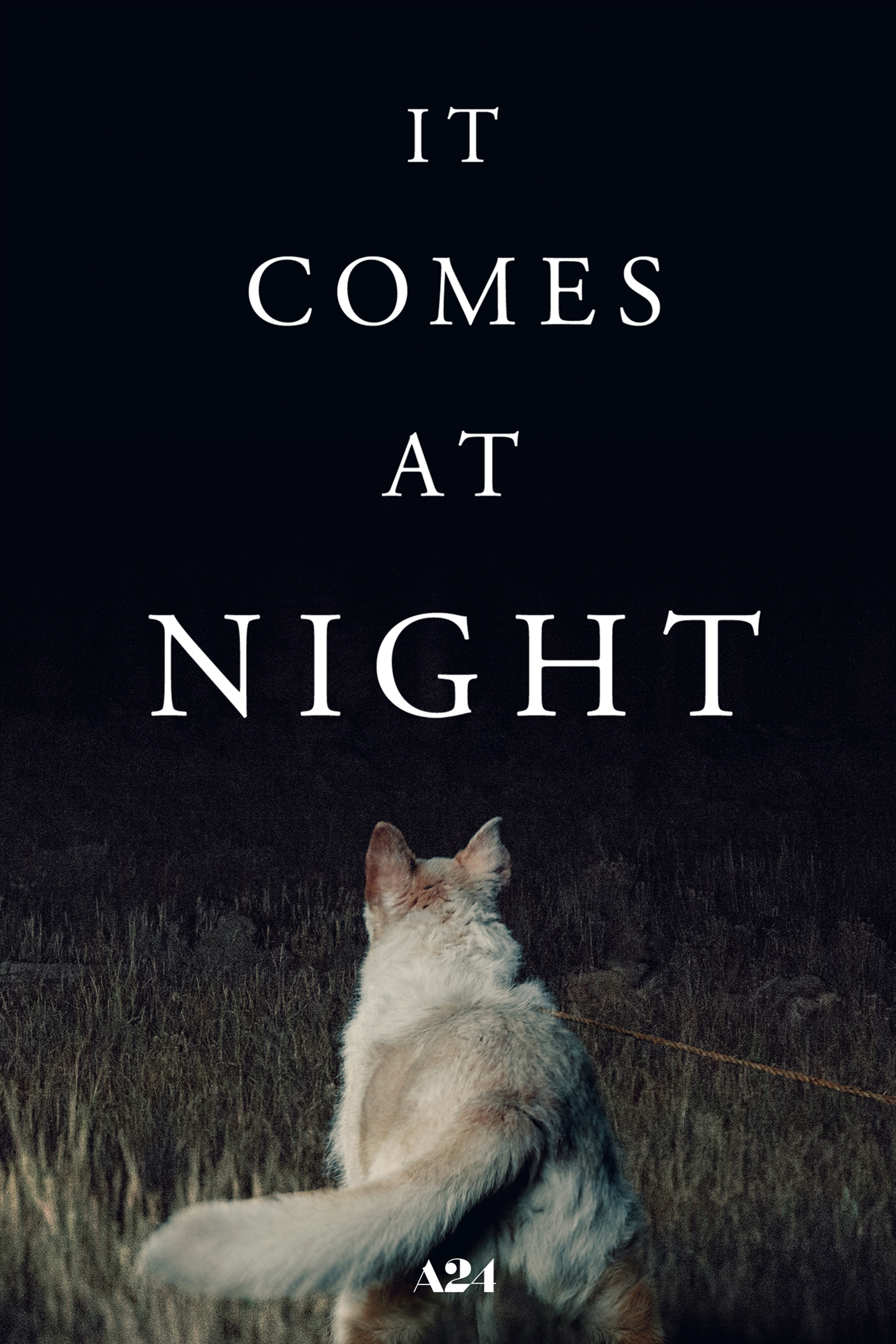 It Comes at Night (2017) [129032] (A1773450765) [[Movies 2.0]] --Plex--